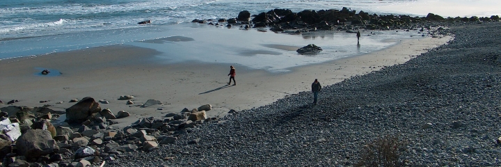 White Point’s beach changes with the seasons in Nova Scotia 1