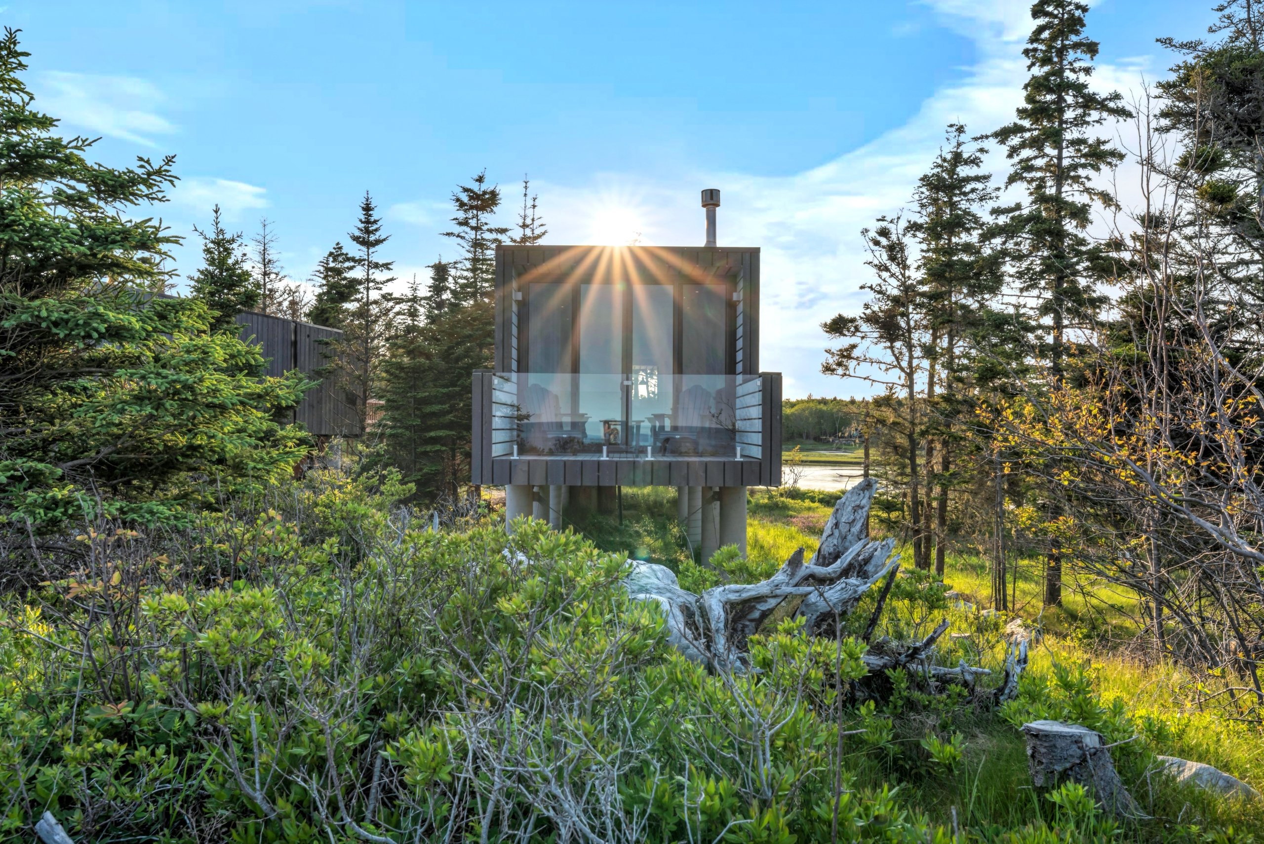 Oceanfront Treehouses Summer 2025