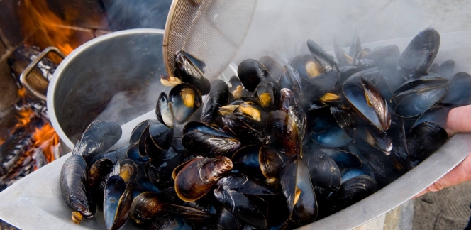 mussle