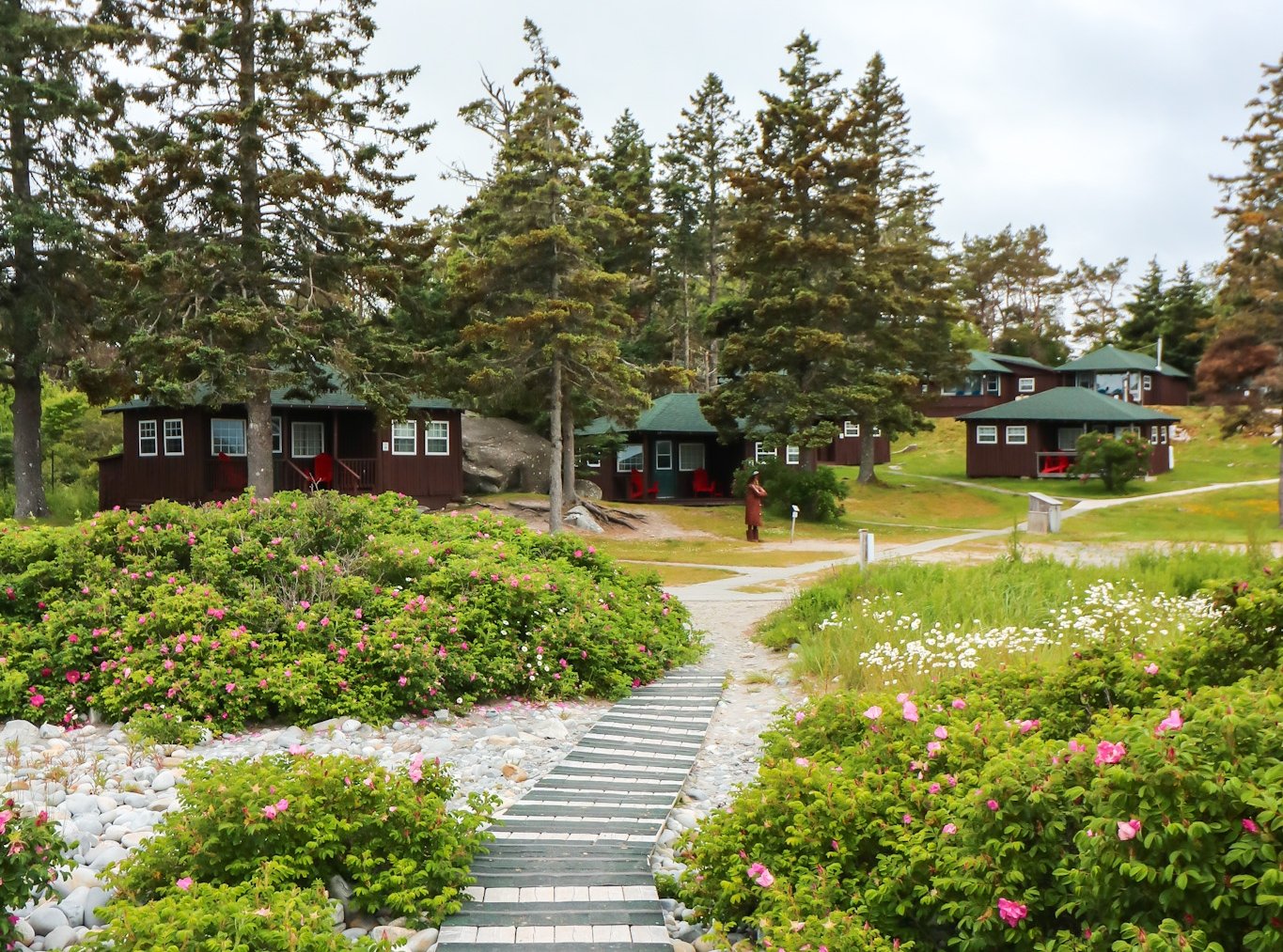 Ramp up to the cottages in summer with flowers