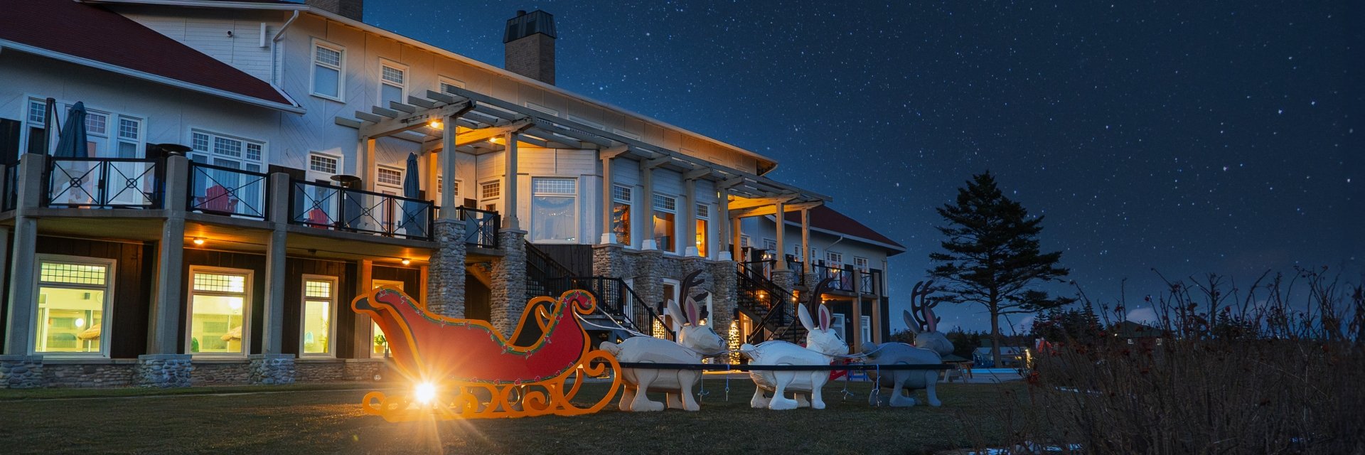 White Point - Christmas 2024