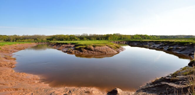 Miner's Marsh