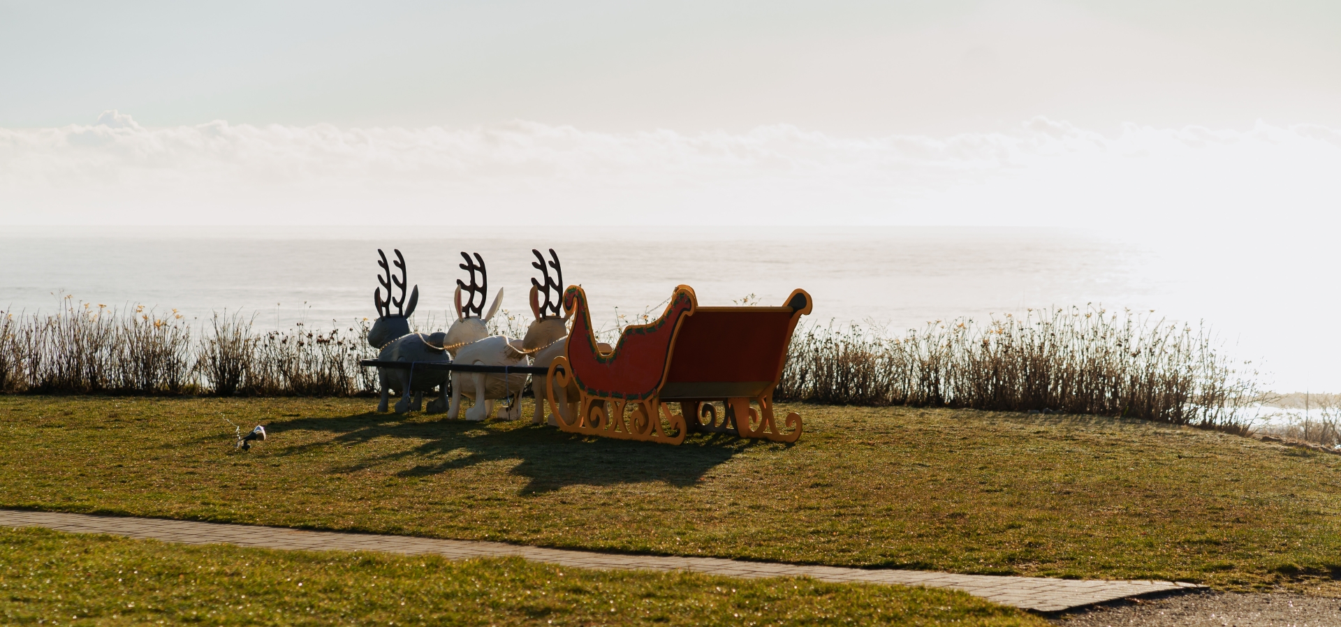 White Point - Christmas 2025