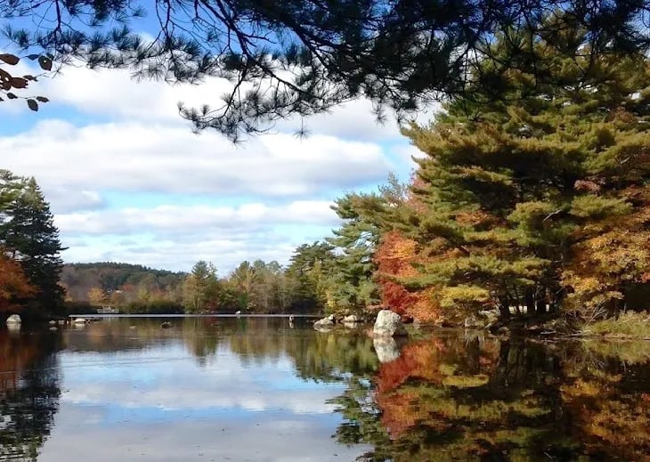 Pine Grove