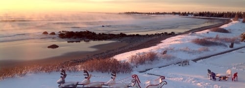 Holiday Christmas Beach Winter