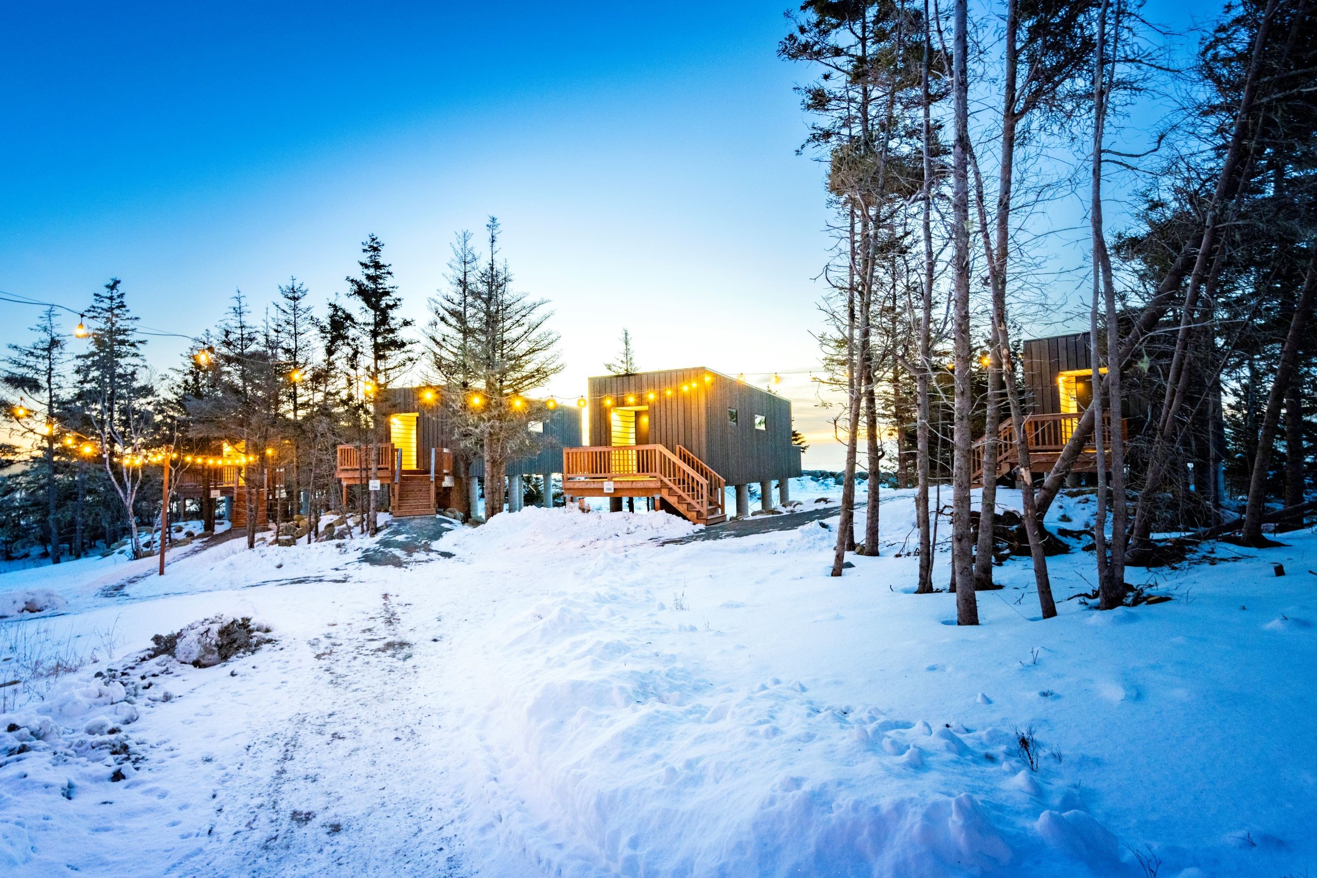 Winter View Treehouses at White Point Snow