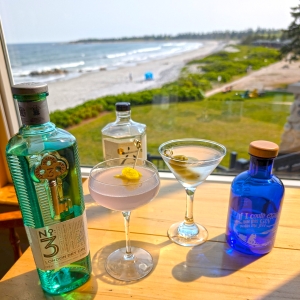 Gin Week at White Point Sq HDR