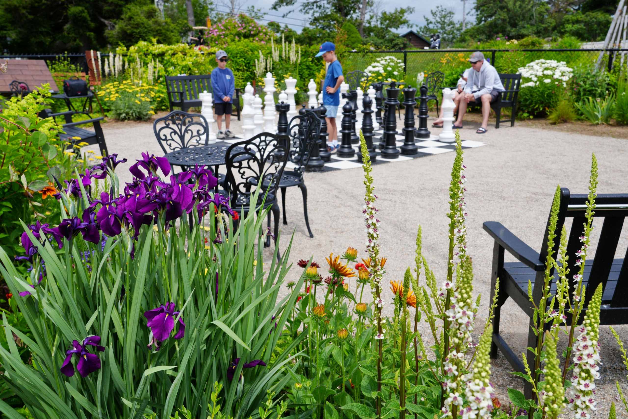 Stone Well Flower garden Summer 2025