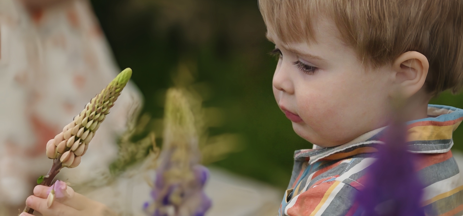 WPBR Charlie with the Lupins