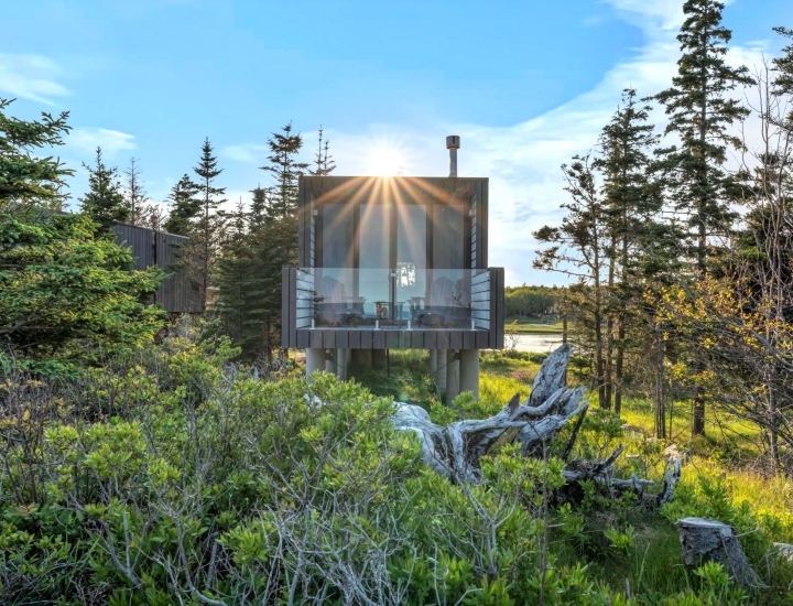 oceanfront treehouses at White Point Beach Resort