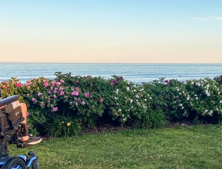 a person in a wheelchair in a garden with ocean views