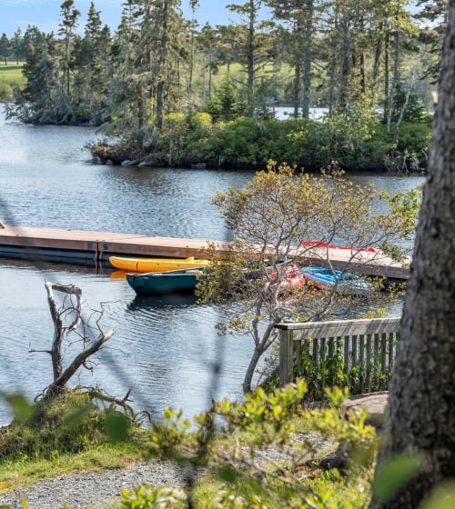 Dock in lake with kayaks surrounded by trees