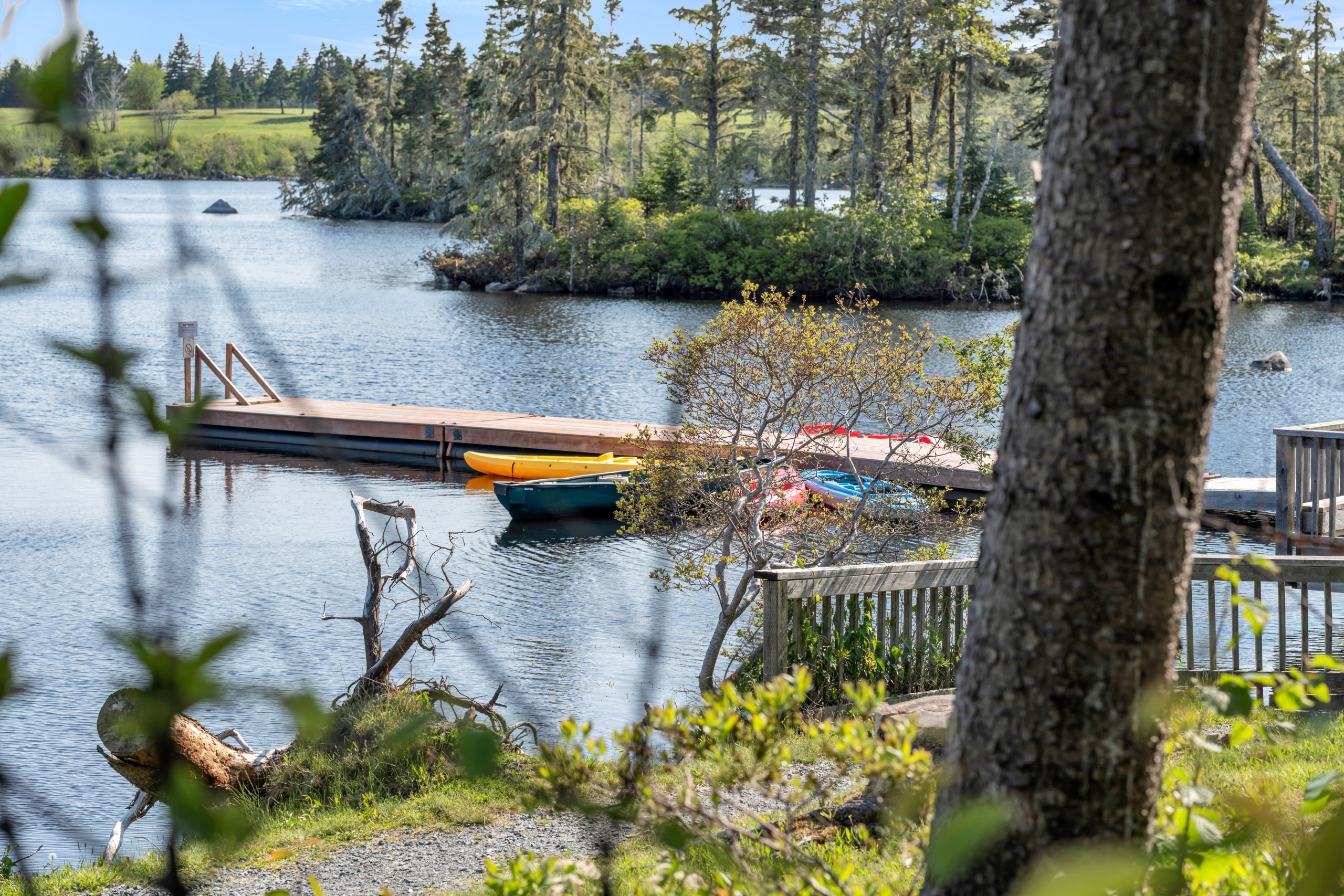 Dock in lake with kayaks surrounded by trees