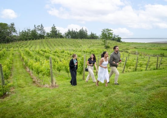 Shelburne-winery