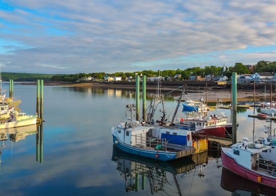 Boats in the harbour at low tide in Digby, Nova Scotia.