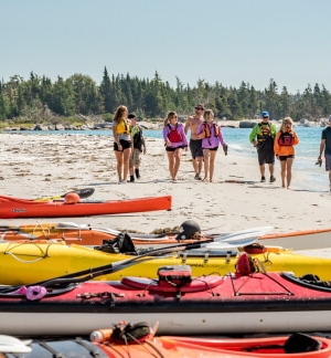 a group on a beach heading toward kayaks