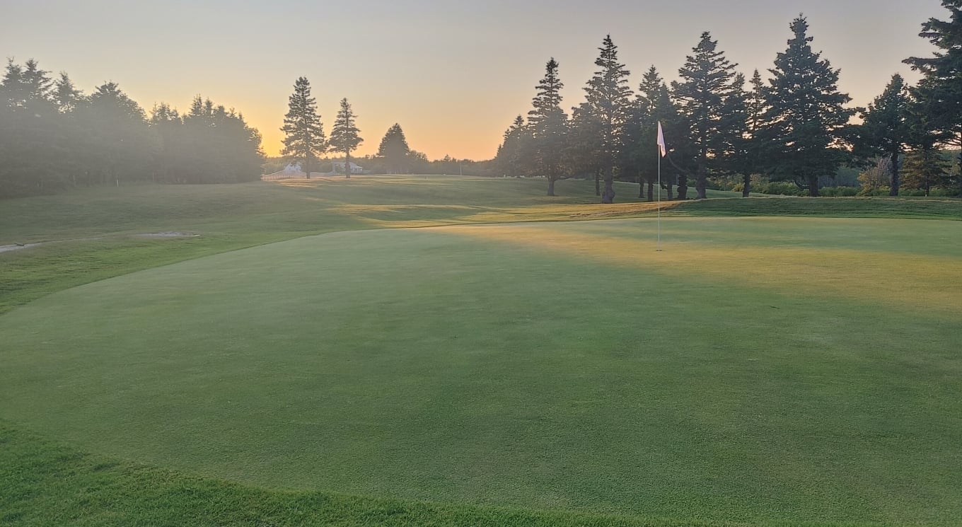 white-point-golf-green-image