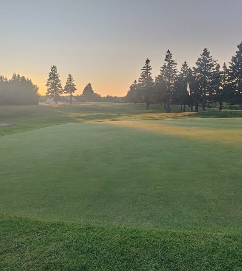 white-point-golf-green-image